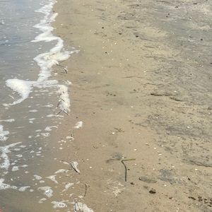 Meet your Posher, Mai